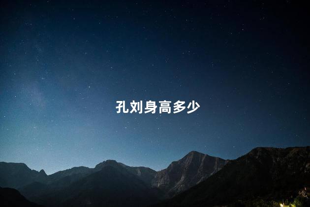 孔刘身高多少