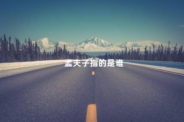 孟夫子指的是谁 孟夫子指的是谁
