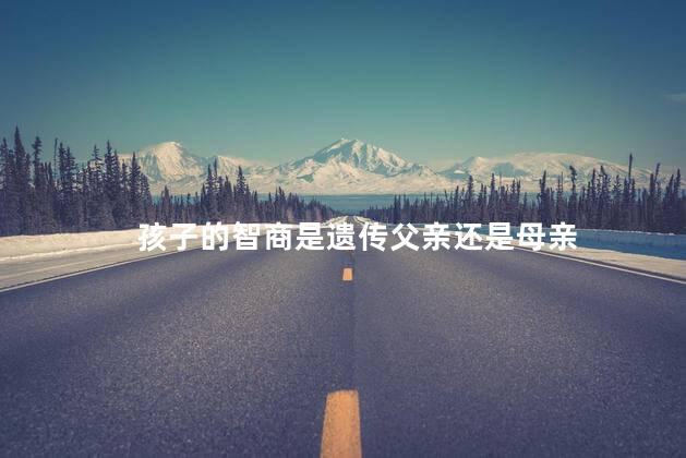 孩子的智商是遗传父亲还是母亲