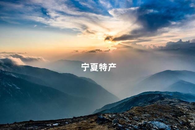 宁夏特产 宁夏特产