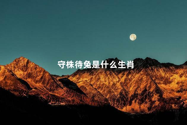 守株待兔是什么生肖