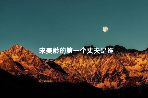 宋美龄的第一个丈夫是谁