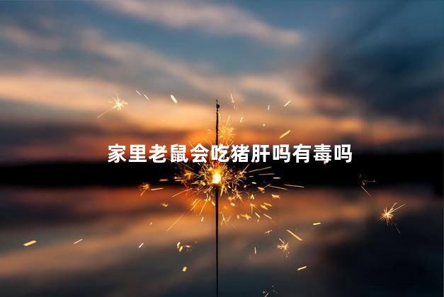 家里老鼠会吃猪肝吗有毒吗