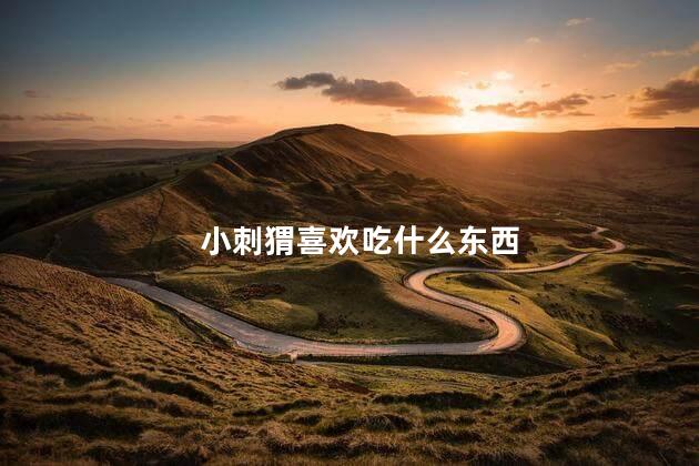小刺猬喜欢吃什么东西 小刺猬喜欢吃什么东西