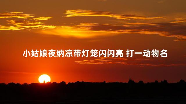 小姑娘夜纳凉带灯笼闪闪亮 打一动物名
