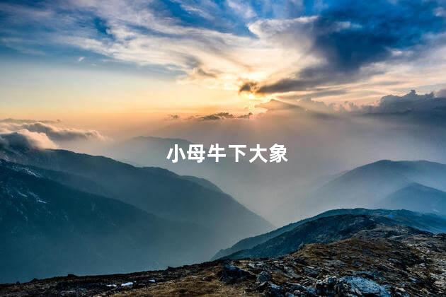 小母牛下大象