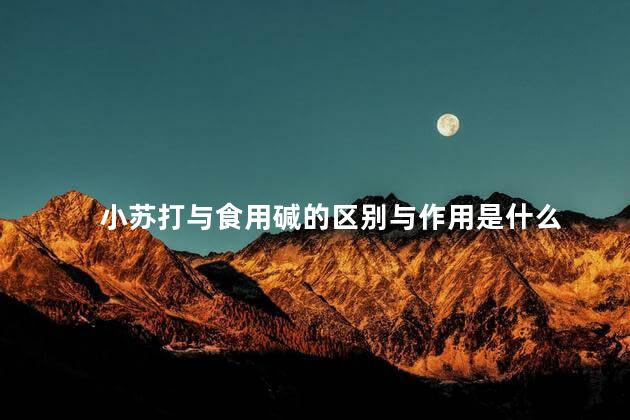 小苏打与食用碱的区别与作用是什么 小苏打与食用碱的区别与作用是什么