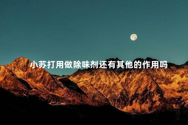 小苏打用做除味剂还有其他的作用吗