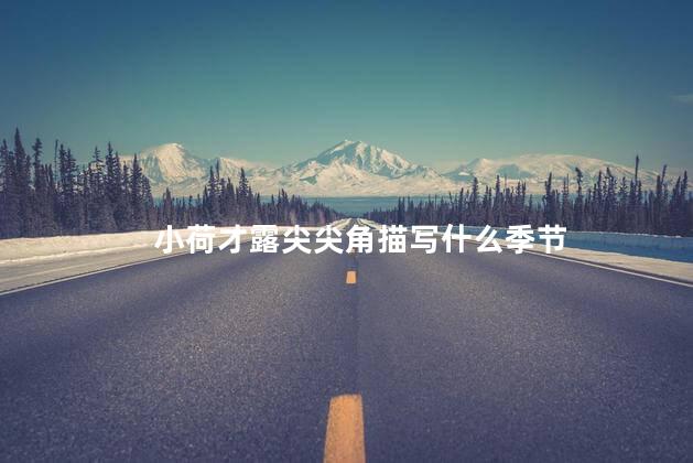 小荷才露尖尖角描写什么季节