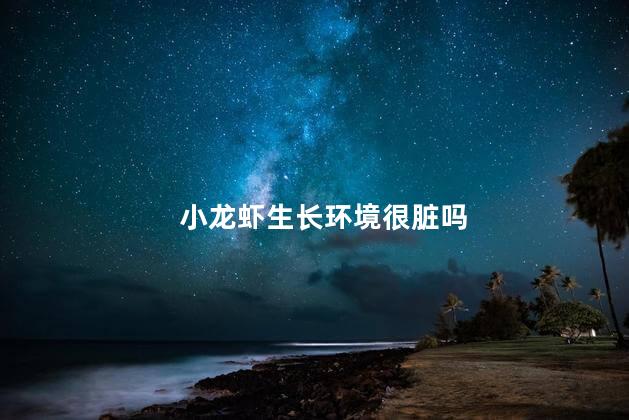 小龙虾生长环境很脏吗