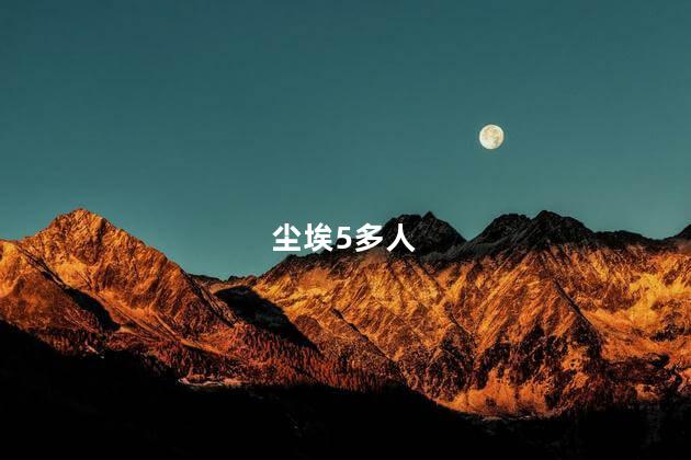 尘埃5多人