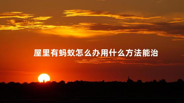 屋里有蚂蚁怎么办用什么方法能治 屋里有蚂蚁怎么办用什么方法能治