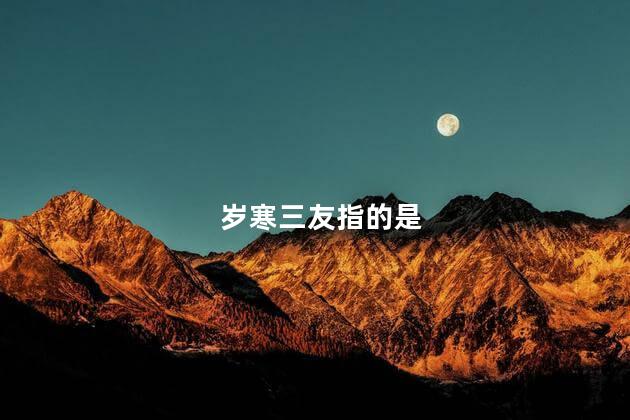 岁寒三友指的是 岁寒三友指的是