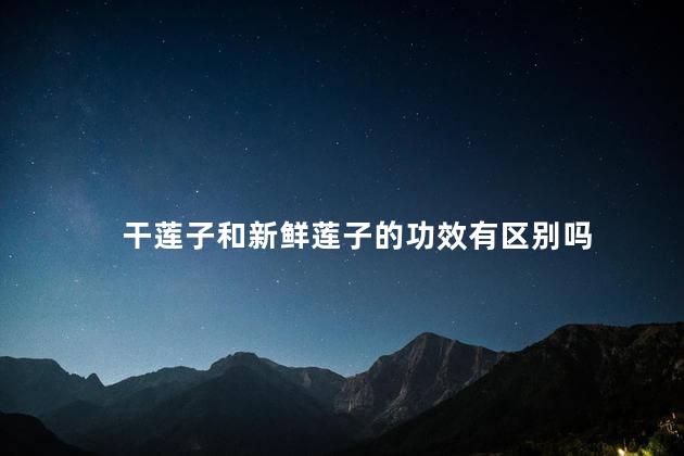 干莲子和新鲜莲子的功效有区别吗