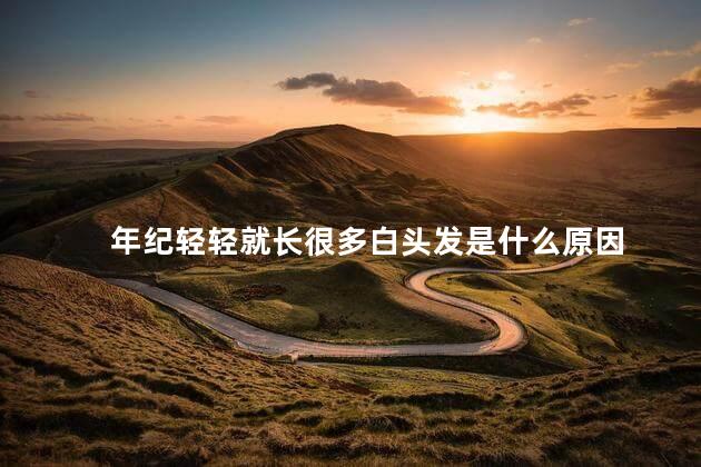 年纪轻轻就长很多白头发是什么原因 年纪轻轻就长很多白头发是什么原因
