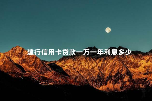建行信用卡贷款一万一年利息多少 建行信用卡贷款一万一年利息多少