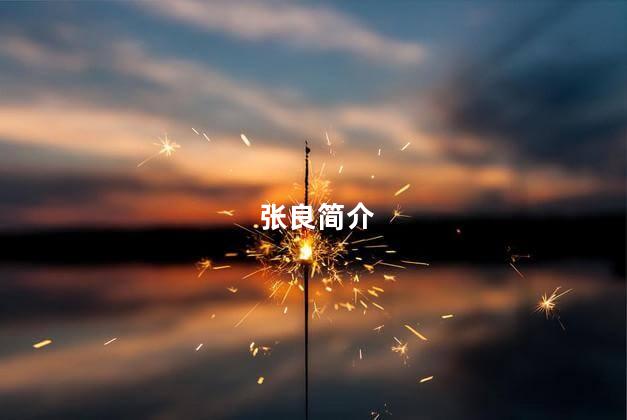 张良简介 张良简介