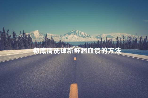 彻底清洗掉新鲜涸血渍的方法 彻底清洗掉新鲜涸血渍的方法