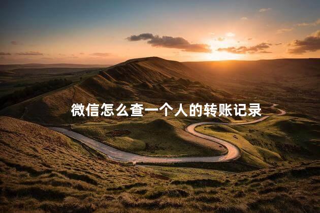 微信怎么查一个人的转账记录 微信怎么查一个人的转账记录