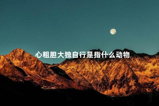 心粗胆大独自行是指什么动物 心粗胆大独自行是指什么动物