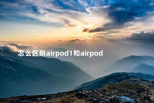 怎么区别airpod1和airpod2 怎么区别airpod1和airpod2