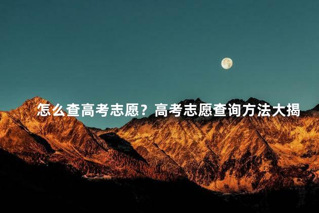 怎么查高考志愿？高考志愿查询方法大揭秘！
