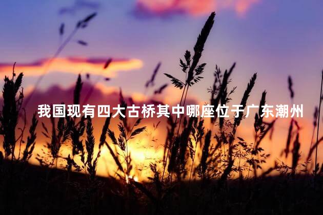 我国现有四大古桥其中哪座位于广东潮州