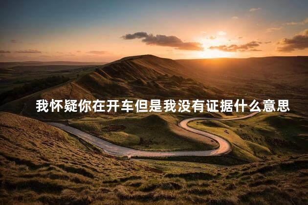 我怀疑你在开车但是我没有证据什么意思 我怀疑你在开车但是我没有证据什么意思