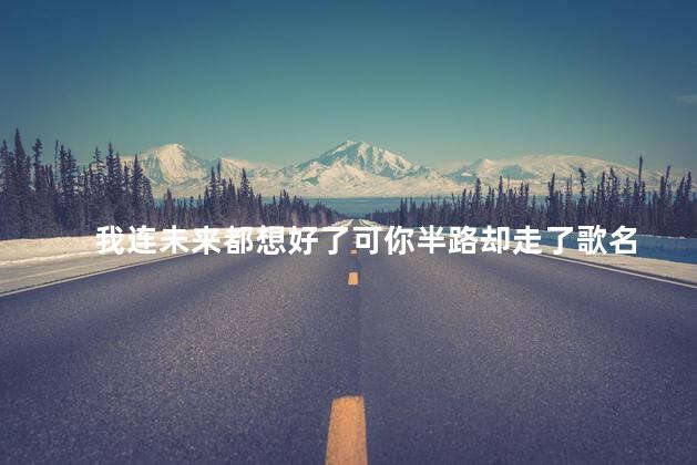 我连未来都想好了可你半路却走了歌名