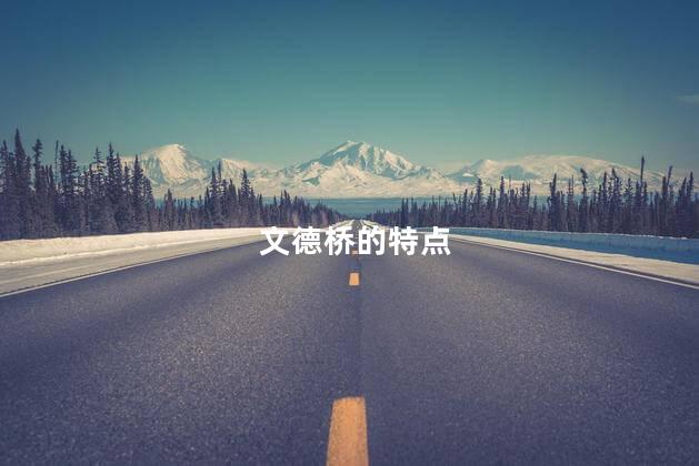 文德桥的特点 文德桥的特点
