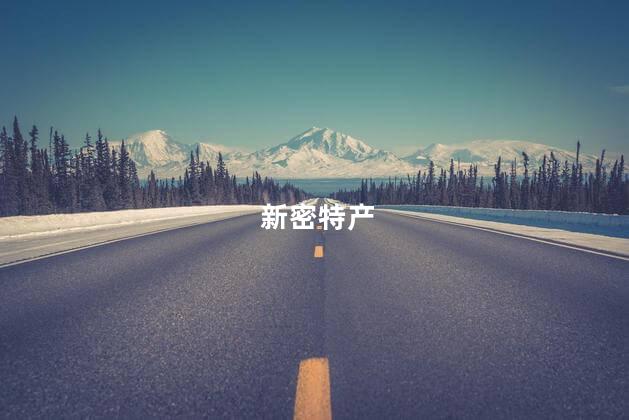 新密特产