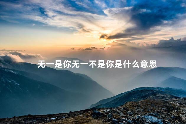 无一是你无一不是你是什么意思