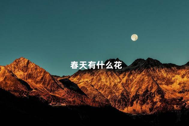 春天有什么花