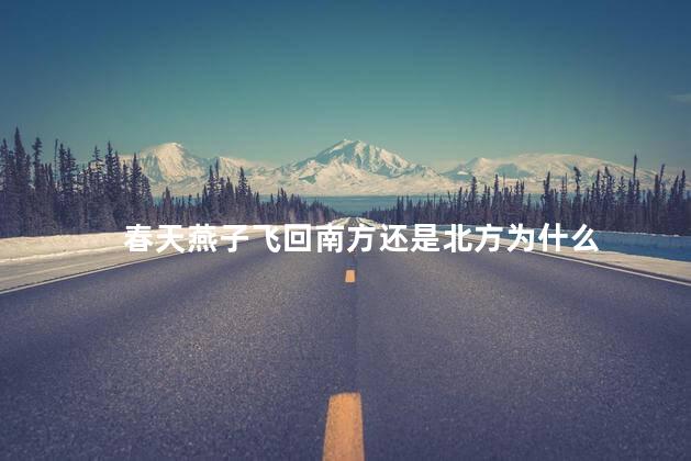 春天燕子飞回南方还是北方为什么 春天燕子飞回南方还是北方为什么