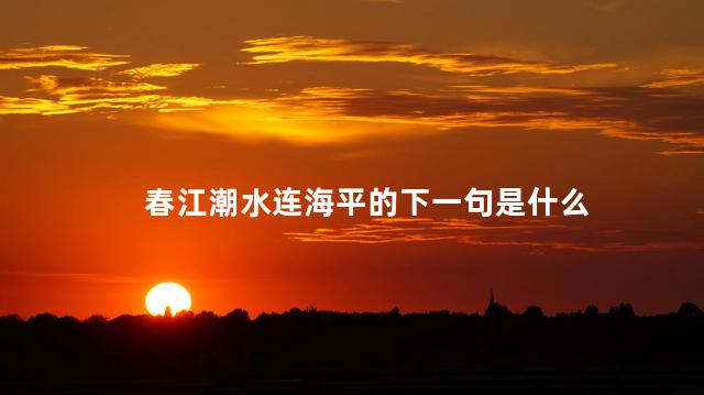 春江潮水连海平的下一句是什么 春江潮水连海平的下一句是什么