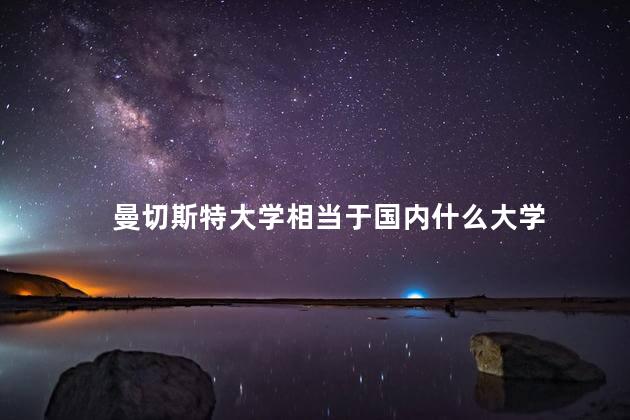 曼切斯特大学相当于国内什么大学