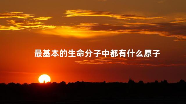最基本的生命分子中都有什么原子