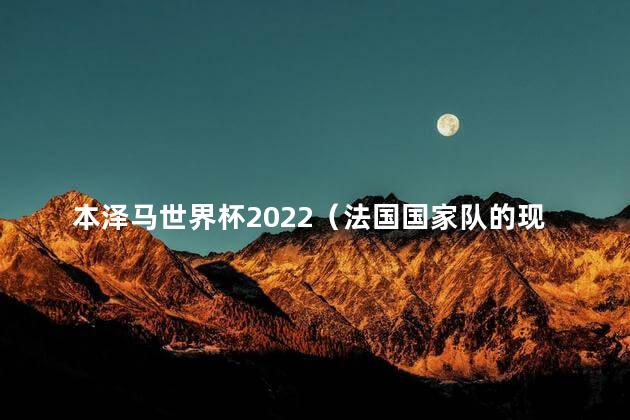 本泽马世界杯2022（法国国家队的现任队长）