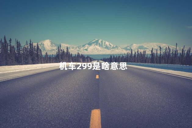 机车299是啥意思 机车299是啥意思