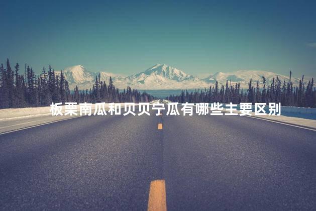 板栗南瓜和贝贝宁瓜有哪些主要区别