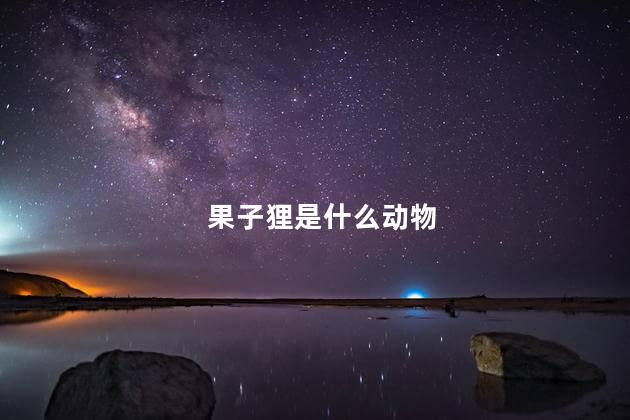 果子狸是什么动物