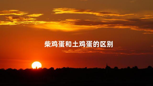 柴鸡蛋和土鸡蛋的区别 柴鸡蛋和土鸡蛋的区别