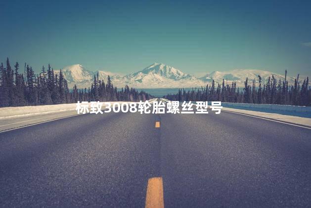标致3008轮胎螺丝型号