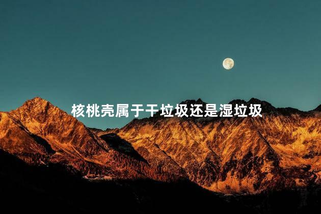 核桃壳属于干垃圾还是湿垃圾