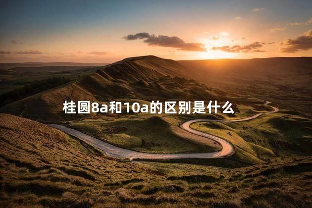 桂圆8a和10a的区别是什么 桂圆8a和10a的区别是什么