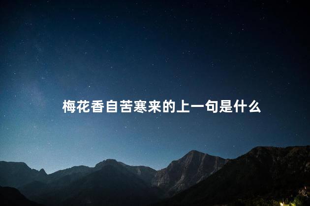 梅花香自苦寒来的上一句是什么 梅花香自苦寒来的上一句是什么
