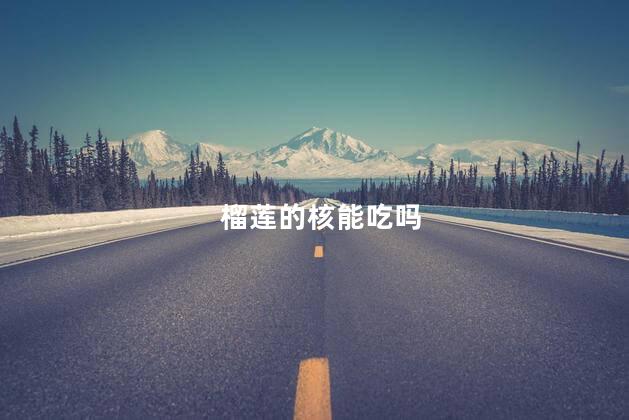 榴莲的核能吃吗