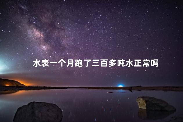 水表一个月跑了三百多吨水正常吗 水表一个月跑了三百多吨水正常吗