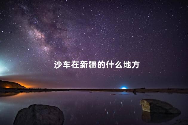 沙车在新疆的什么地方 沙车在新疆的什么地方