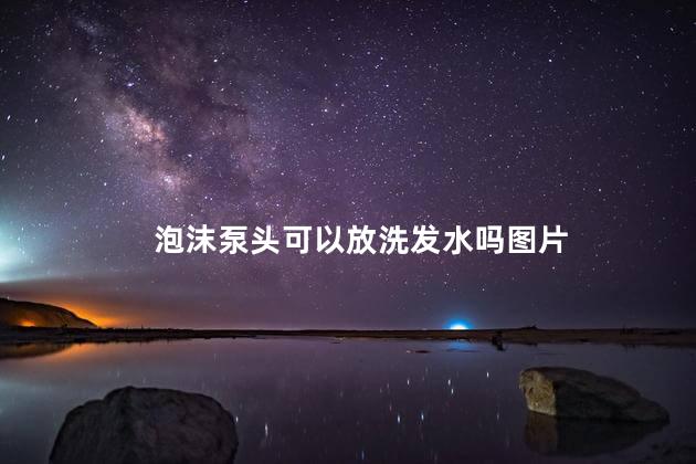 泡沫泵头可以放洗发水吗图片